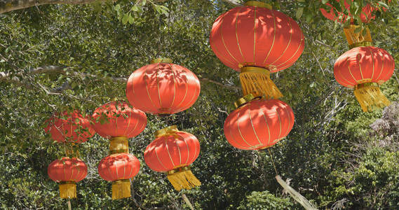在树上挂中国红灯笼图片