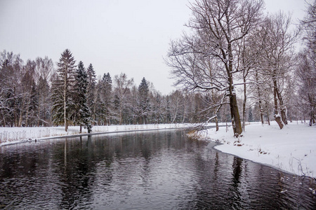 俄罗斯加奇纳公园冬季公园白雪皑皑的大自然