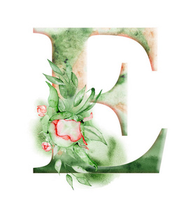花水彩字母。字母 E 设计与手绘牡丹花