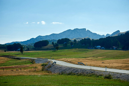 黑山山区草地Zabljak