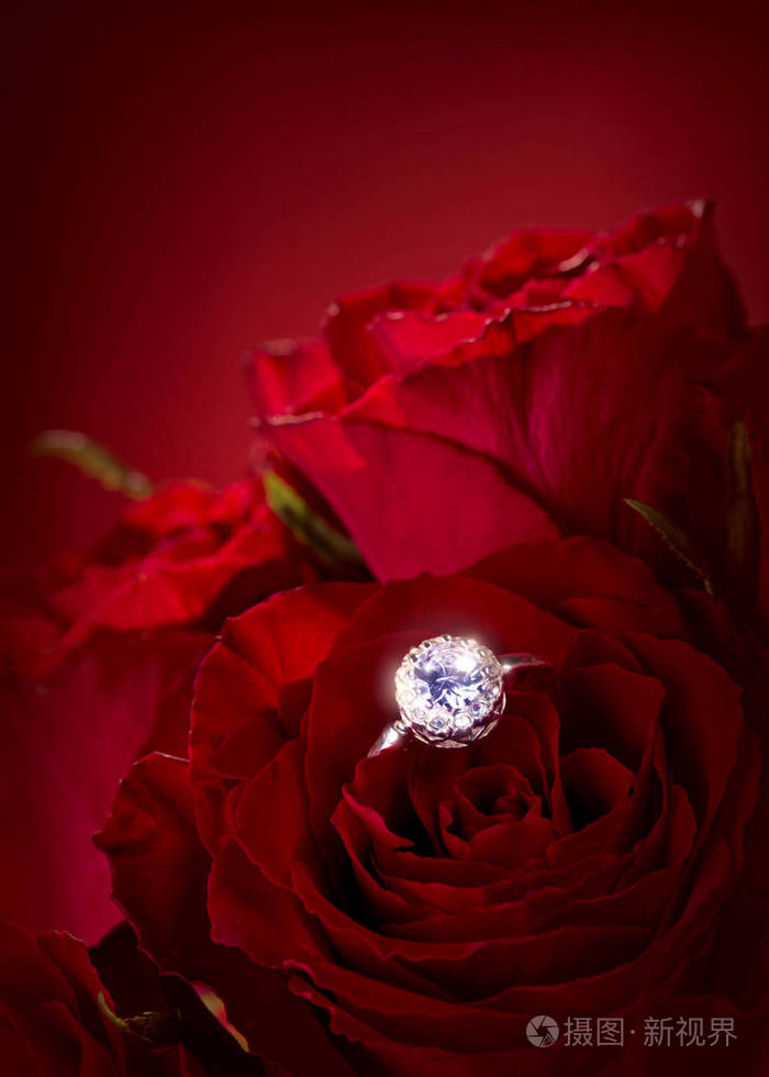 订婚戒指红玫瑰