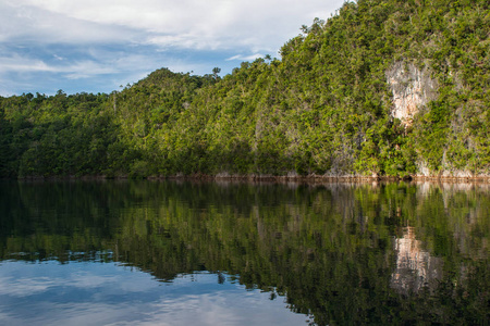 heart of the Coral Triangle34