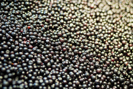 甜美的速冻蓝莓, 美味的第一级有机水果作为夏季维生素的概念