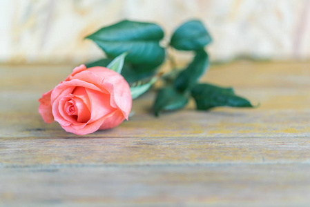 木地板上的粉红色玫瑰花情人节