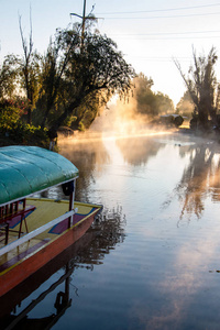 美丽的手工画的trjineras传统的五颜六色的船，来自Xochimilco，用来在运河中航行