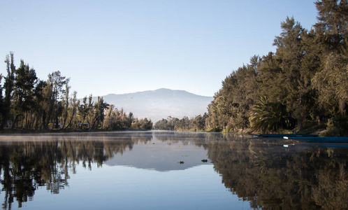 美丽的手工画的trjineras传统的五颜六色的船，来自Xochimilco，用来在运河中航行