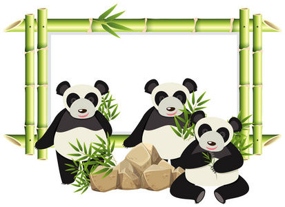 带可爱熊猫和竹子的边框模板