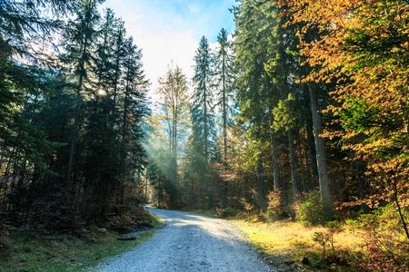 在秋季的一天在阿尔卑斯山的徒步游路径