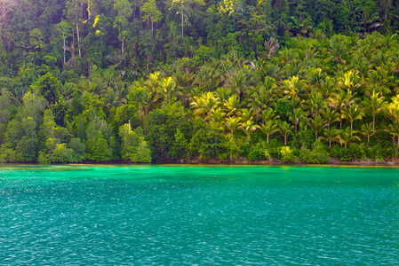togean 群岛风景海滩和郁郁葱葱的绿色丛林在绿松石海的海岸线, 印度