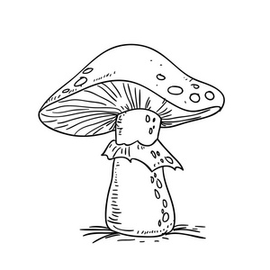 蘑菇黑白素描卡通画矢量插图图片