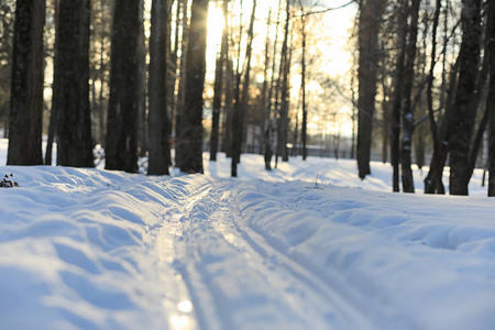 冬季景观积雪覆盖大片。一个公园在冬天在