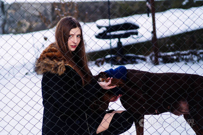 一个小女孩在笼子里去了杜宾的老狗冬天在寒冷天气
