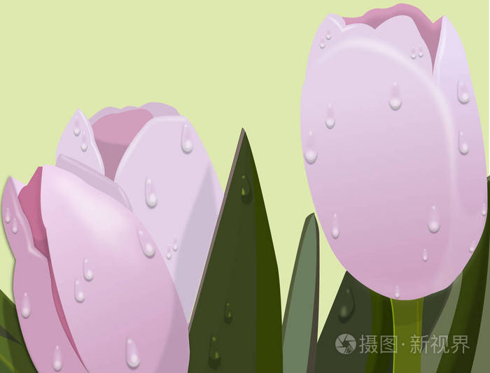 带露水的粉红色花插画-正版商用图片117og2-摄图新视界