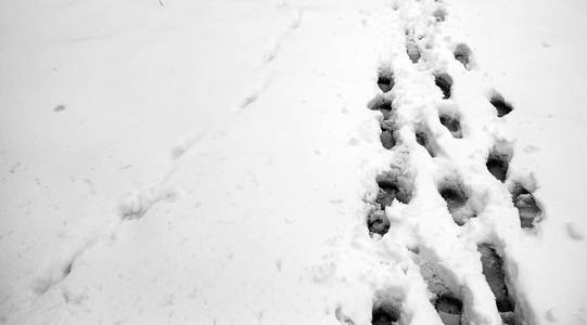 脚印在雪地里。在第一个雪的脚印。印记一个