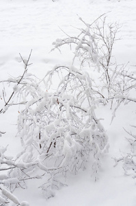 莫斯科的冬天。 雪覆盖了城市里的树木。 在大雪中从窗户看到的景色