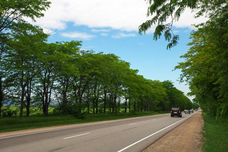 美丽的道路之间的树木。移动汽车。夏季旅游