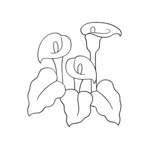 可爱的卡通花在白色背景上为孩子们打印T恤彩色书有趣和友好的性格为孩子们。