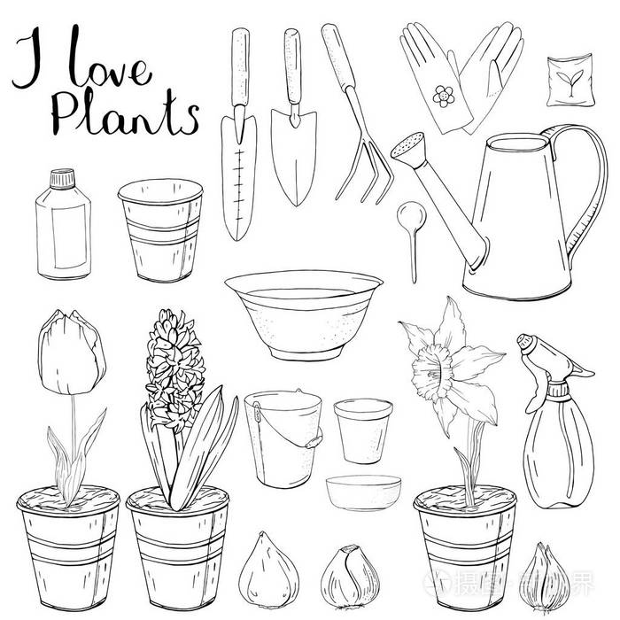 黑白单色套装用不同的园艺工具在白色背景下的家中种植植物的对象
