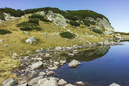 令人惊叹的夏季景观与山区莱拉山保加利亚