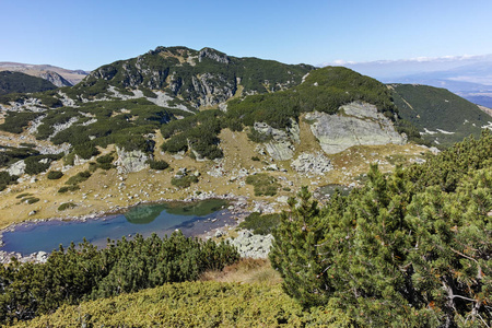 令人惊叹的夏季景观与山区莱拉山保加利亚