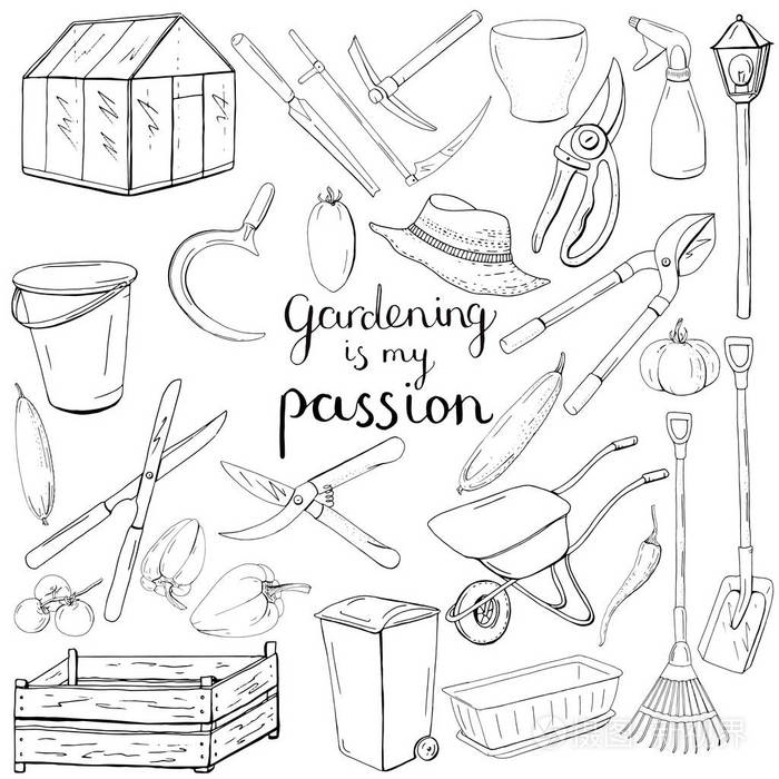 黑白单色套装用不同的园艺工具.在白色背景下的家中种植植物的对象