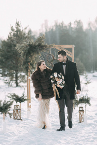 婚礼照片拍摄与驯鹿在斯堪的纳维亚和欧洲风格的工作室和户外与松树针的印刷和装饰。
