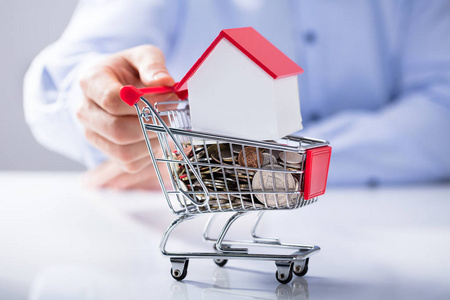 s Hand Holding Shopping Cart Filled With Coins And House Model O