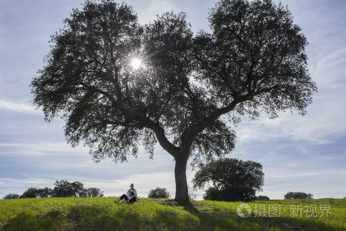 母亲在橡子树下摇着孩子