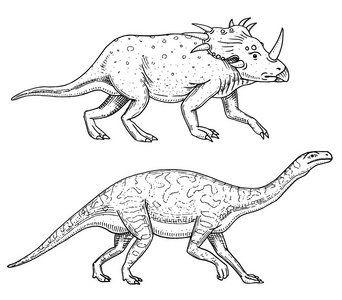 恐龙三角, Barosaurus, 龙, Tenontosaurus Plateosaurus, 宽蜥蜴, Massospond
