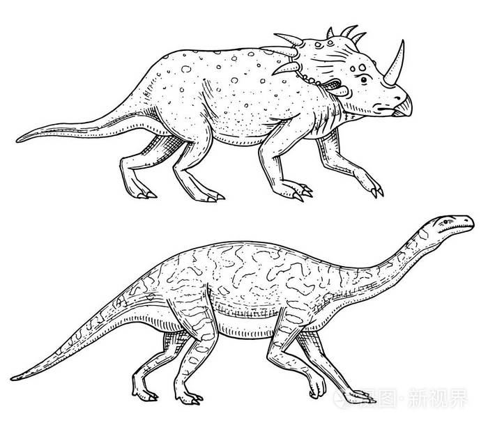 恐龙三角barosaurus龙tenontosaurusplateosaurus宽蜥蜴massospond