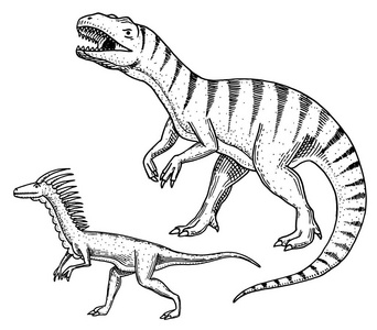 恐龙霸王龙, 迅猛, Ceratosaurus, Afrovenator, 斑, Tarbosaurus, Struthiomi