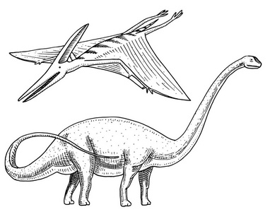 恐龙腕或蜥, plateosaurus, 梁龙, 龙, 翼, 骨骼, 化石, 翅蜥蜴.