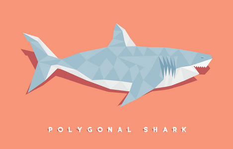 海洋鱼低聚肽几何多边形鲨鱼种群插图照片