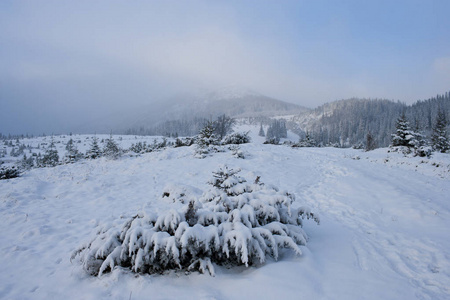 喀尔巴阡山脉的冬季景观