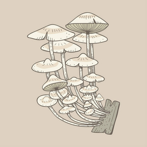 艺术蘑菇的插图