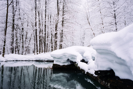 雪覆盖的树枝在湖的背景图片