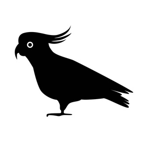 鹦鹉鹦鹉剪影图标在平的样式照片