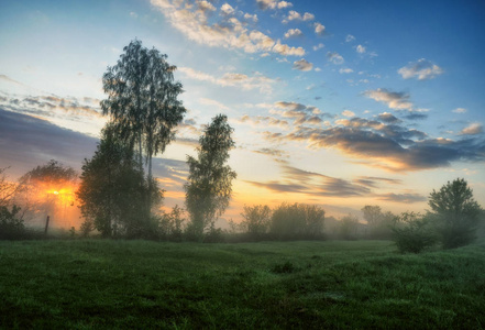 春天的早晨。 雾蒙蒙的黎明在一片风景如画的草地上。 太阳射线