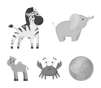 一个不切实际的单色动物图标集设计的集合。玩具动物矢量符号股票网页插图