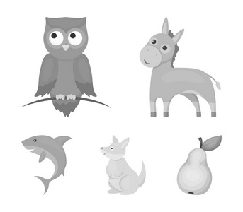 驴, 猫头鹰, 袋鼠, 鲨鱼。动物集合图标单色风格矢量符号股票插图网站