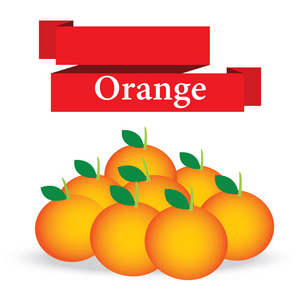 白色背景向量上的新鲜橙色