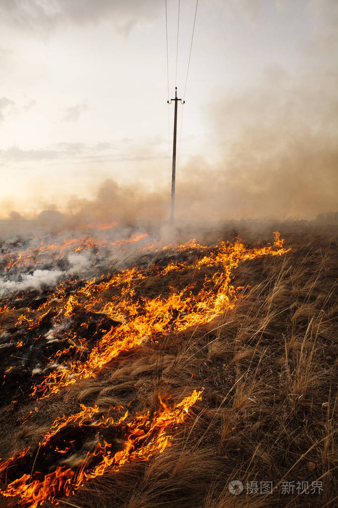 一场可怕的大火毁坏了田地火焰燃烧着春天的青草安全措施和防止燃烧