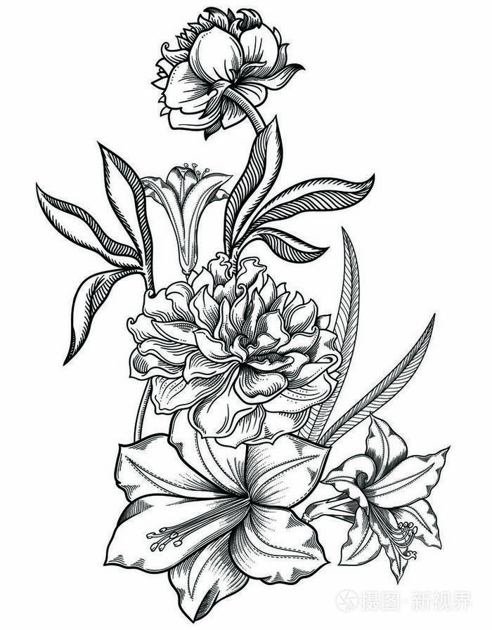 花的矢量插图详细的花卉在黑白素描风格高雅的花卉装饰设计各组组成