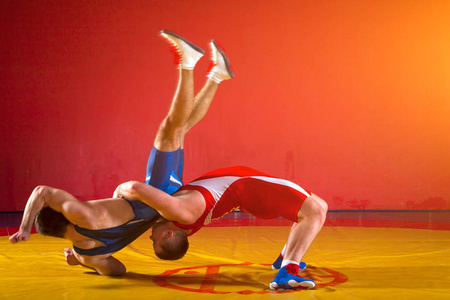 肌肉男室内摔跤图片