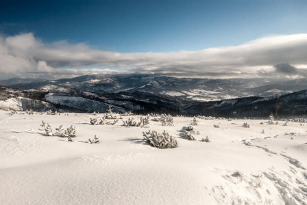 在波兰 Beskid Slaski 山脉附近的 Magurka Wislanska 山徒步旅行的 Beskid Zywiecki