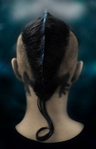 像爬行动物看起来像爬行动物的蜥蜴发型/理发设计照片