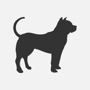 提到的人黑暗的照片工作室狗玩 atc 池白色背景的红狗 pitbullterrier