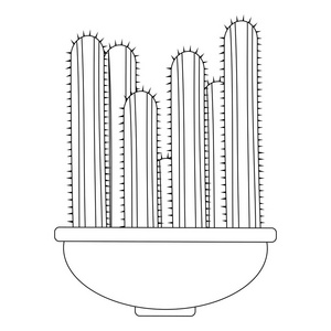 抽象可爱的仙人掌