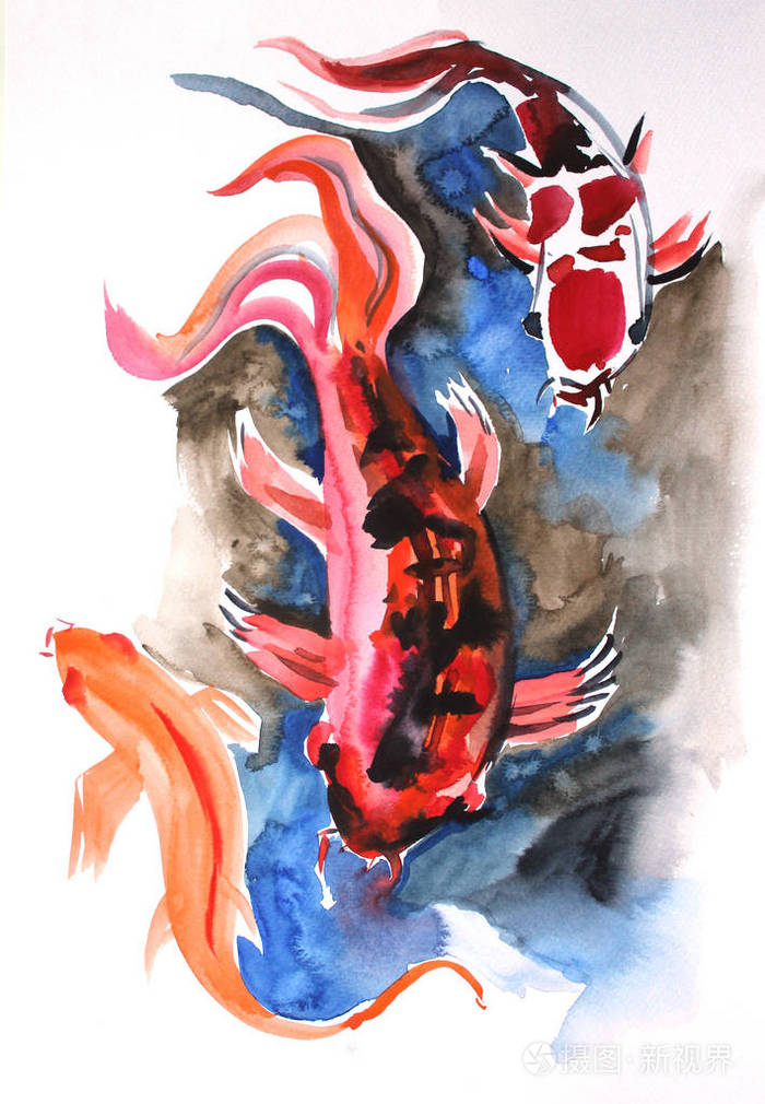 原创艺术水彩画锦鲤游泳日本鲤鱼