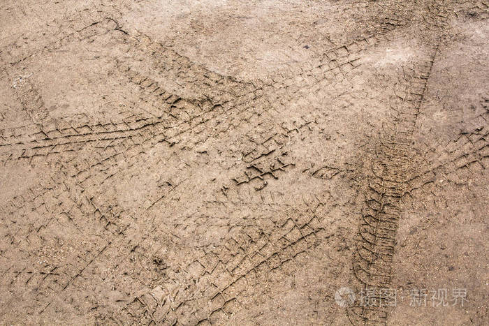 湿泥泞道路上的轮胎痕迹